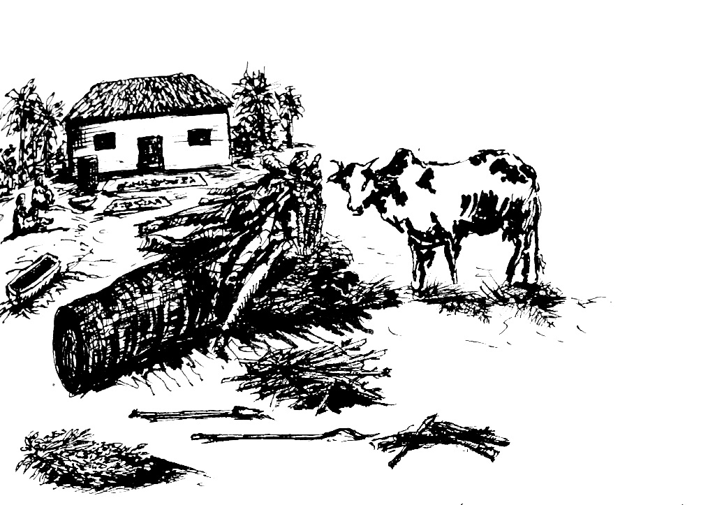 Leisurely Time Flow at Mpombo